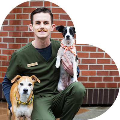 A veterinarian in green scrubs kneels on a sidewalk, holding two dogs. One dog is cradled in their arm, while the other sits calmly on the ground beside them. A brick wall provides the backdrop.