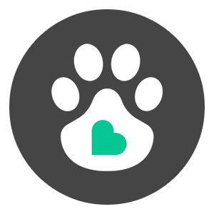 Senior Wellness plans icon